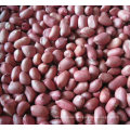 Hot Sale New Crop Red Skin Peanut Kernels 50/60 60/70